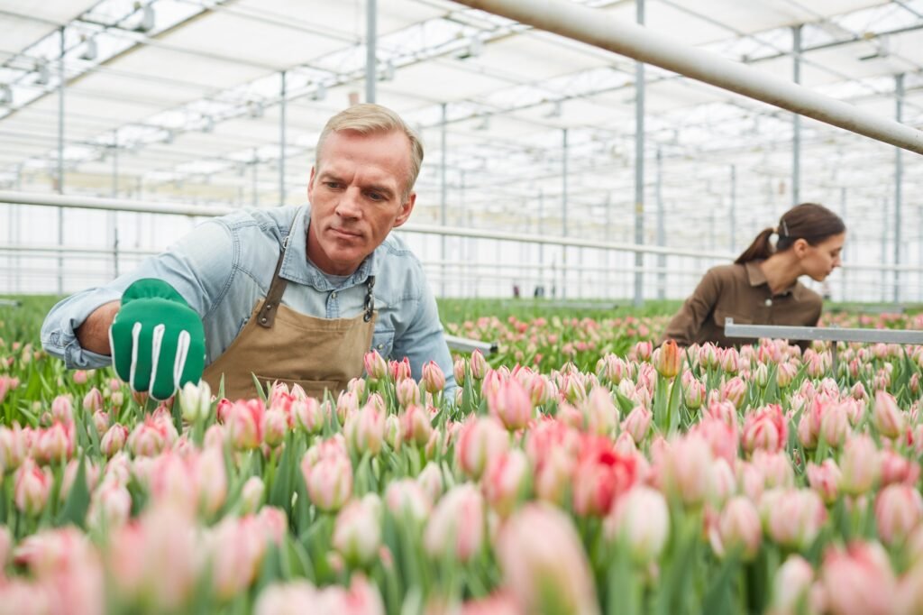 Workers at Flower Plantation